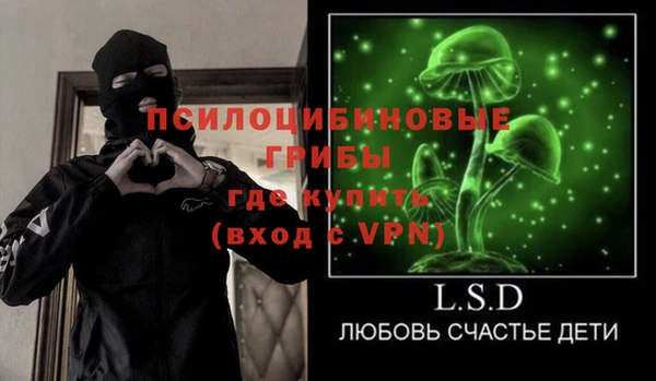 ГАЛЛЮЦИНОГЕННЫЕ ГРИБЫ Баксан