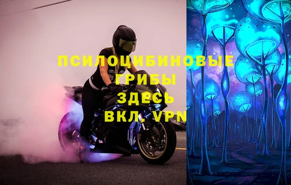 ГАЛЛЮЦИНОГЕННЫЕ ГРИБЫ Баксан