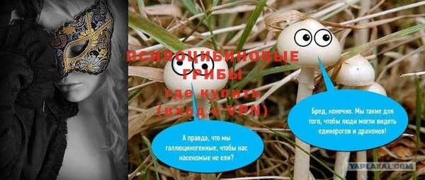 ГАЛЛЮЦИНОГЕННЫЕ ГРИБЫ Баксан