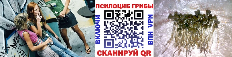 где купить наркоту  Лаишево  Галлюциногенные грибы Magic Shrooms 