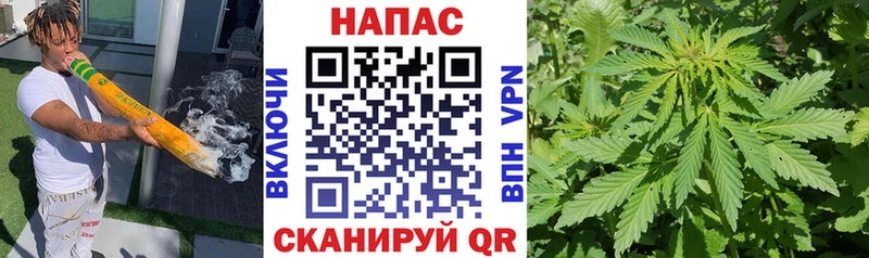 цены наркотик  Лаишево  Бошки марихуана ГИДРОПОН 